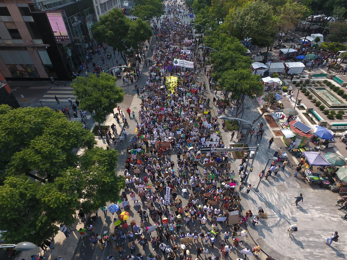 Global Climate Strike March in Mexico. © Víctor Ceballos / Greenpeace