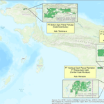 LAPORAN – Ekspansi Perkebunan Sawit, Korupsi Struktural, dan Penghancuran Ruang Hidup di tanah Papua