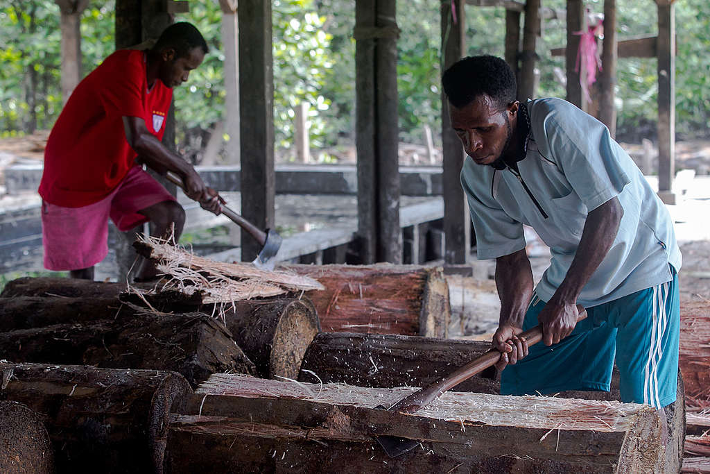 Papuans Peeling Sago Trees in Sungai Tohor. © Fully Syafi / Greenpeace