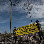 Pemerintah Indonesia Hanya Memberi Makan Krisis Iklim Lewat Food Estate