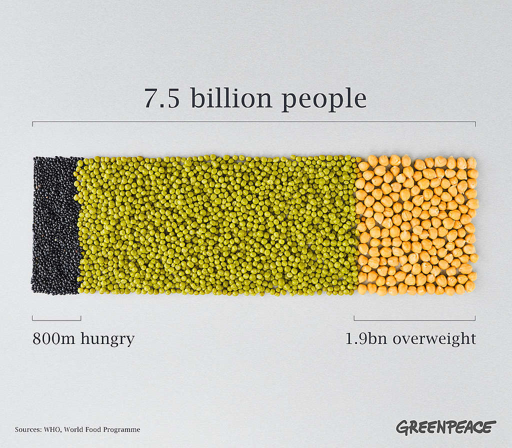 Food Security and Inequality - PHOTOSHOP LAYERED PSD. © Mitja  Kobal / Greenpeace