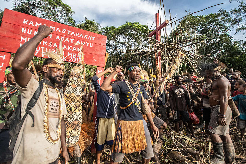 Awyu Tribe in Boven Digoel, South Papua. © Jurnasyanto Sukarno / Greenpeace