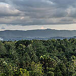 Grime Nawa Valley. © Jurnasyanto Sukarno / Greenpeace