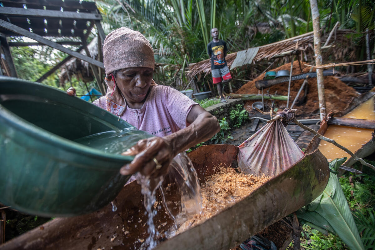 Sago Processing in Sira Village. © Jurnasyanto Sukarno / Greenpeace