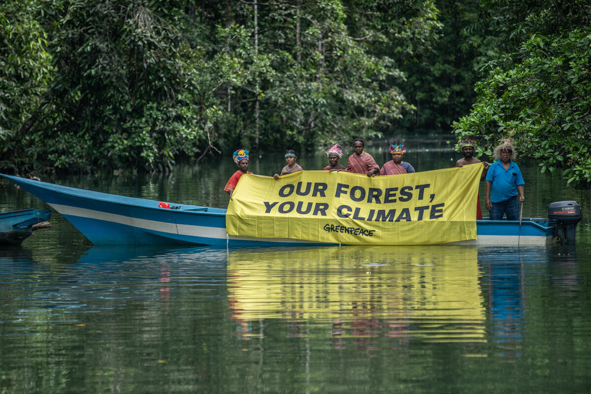 Save the Forest in Klaogin River, Seremuk. © Jurnasyanto Sukarno / Greenpeace