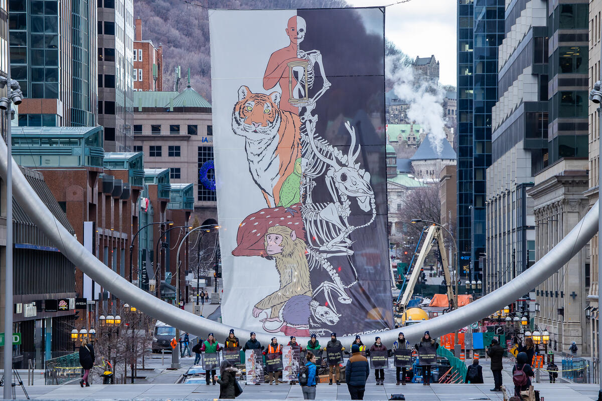 Banner at Montreal’s l’Anneau as COP15 Begins. © Toma Iczkovits / Greenpeace