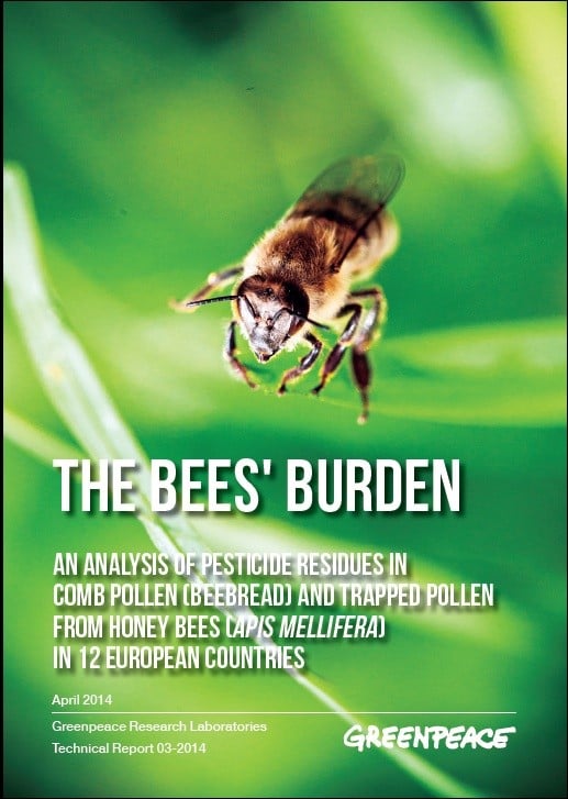Bees Burden