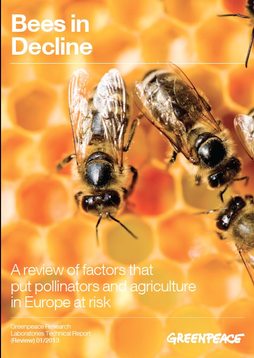 Bees In Decline © Greenpeace / Pieter Boer