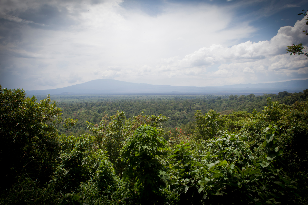 Virunga National Park in DRC © Greenpeace / Jan-Joseph Stok