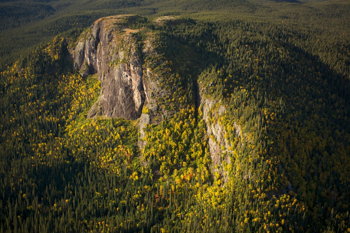 Boreal Forest - Montagnes Blanches, Quebec © Markus Mauthe / Greenpeace