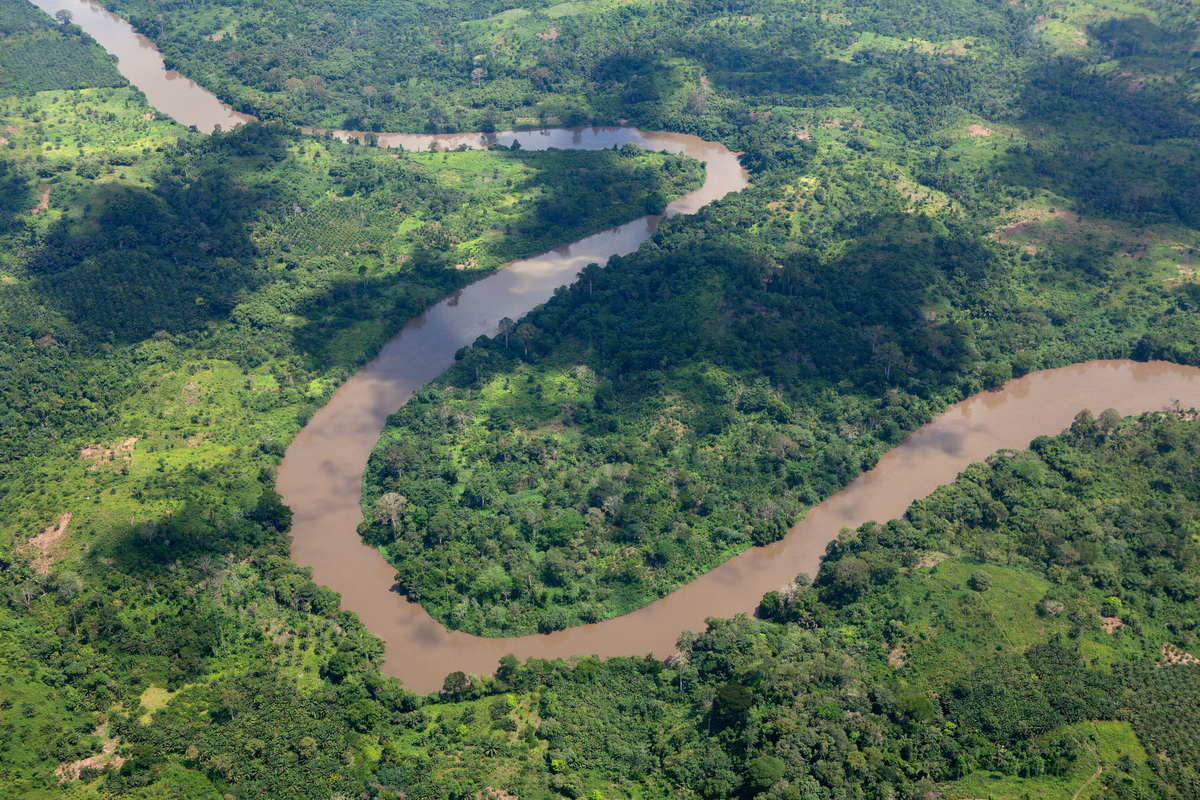 Coastal Rainforest in Cameroon © Greenpeace / Alex Yallop