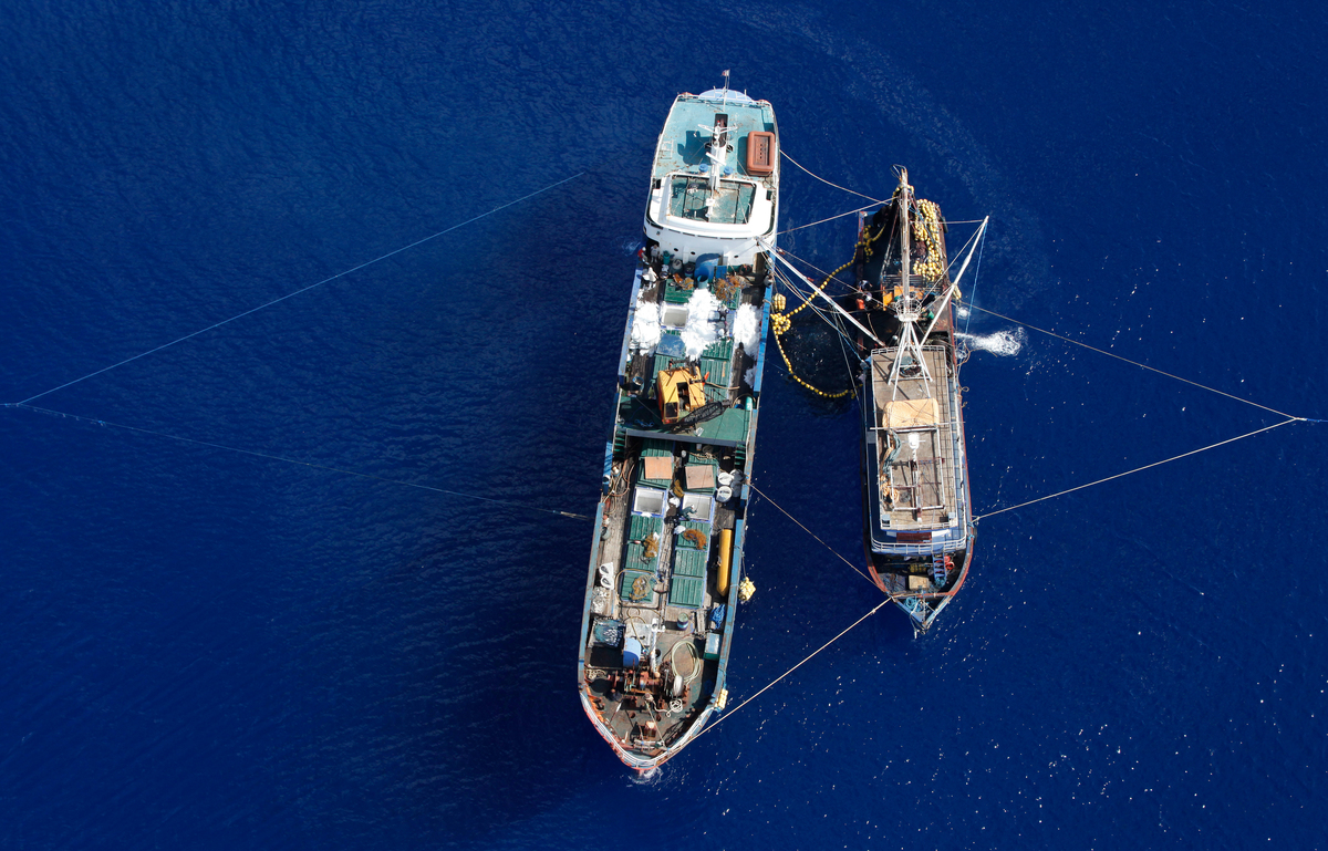 Illegal Purse Seine Fishing Vessel © Alex Hofford / Greenpeace
