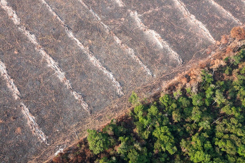 Deforestation in Mato Grosso, Brazil  © Paulo Pereira / Greenpeace © Paulo Pereira / Greenpeace