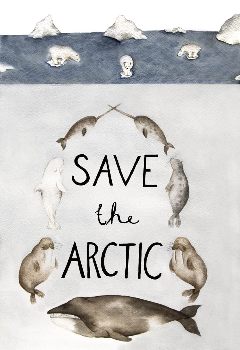 "Arctic Animals" by Lina Lofstrand, 28, Sweden © Greenpeace
