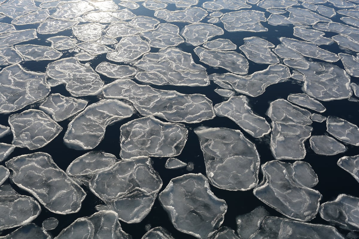 Ice Floating on the Arctic Ocean© Nick Cobbing / Greenpeace