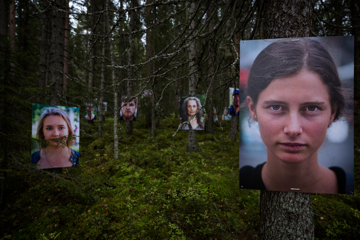 Giant Portraits in Swedish High Value Forest Threatened by Logging © Edward Beskow / Greenpeace