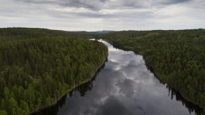 Boreal Forest in Sweden. © Christian Åslund / Greenpeace