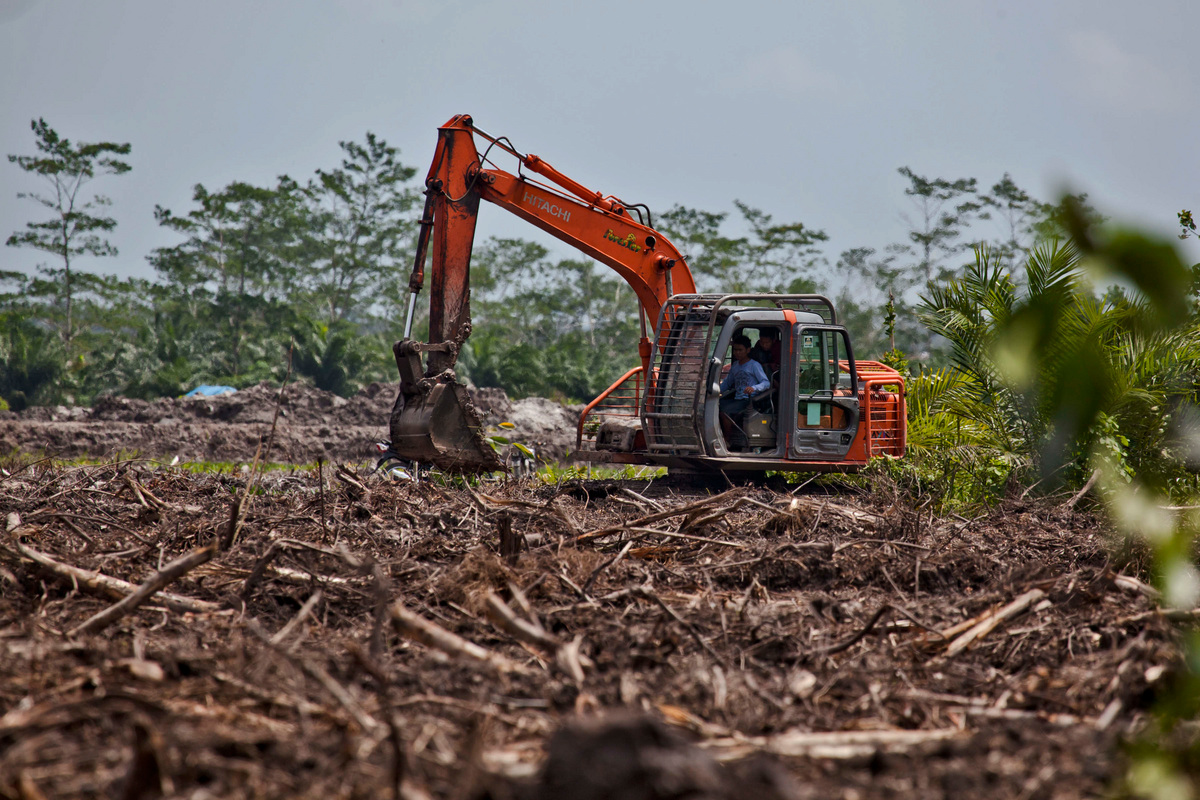 Land Clearance near Tanjung Puting National Park © Ulet Ifansasti / Greenpeace
