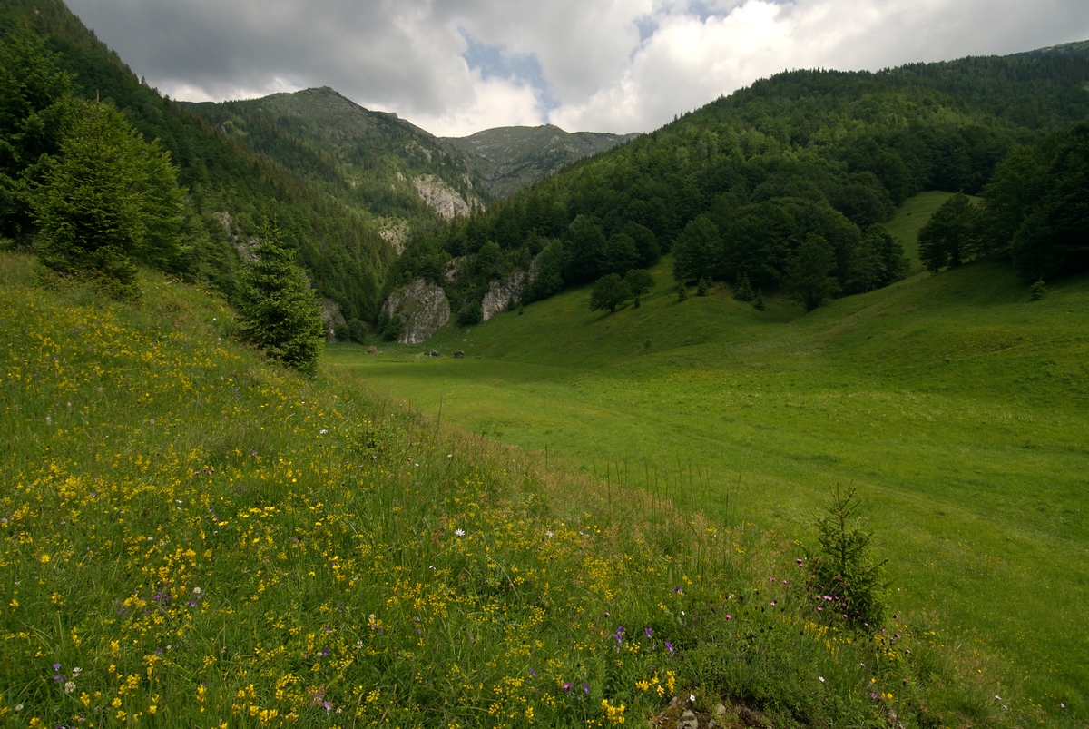 National Park Retezat in Romania © Markus Mauthe / Greenpeace
