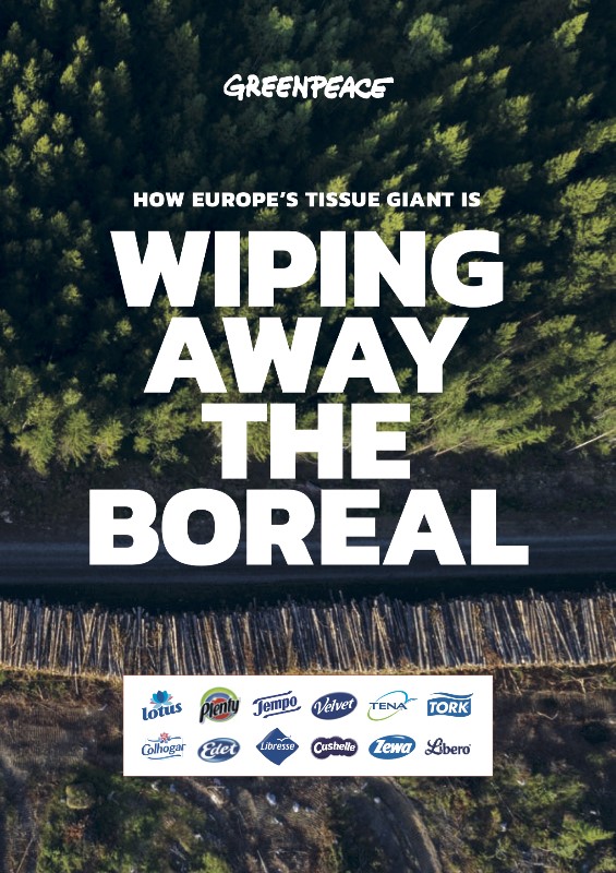 Wiping Away the Boreal @Greenpeace