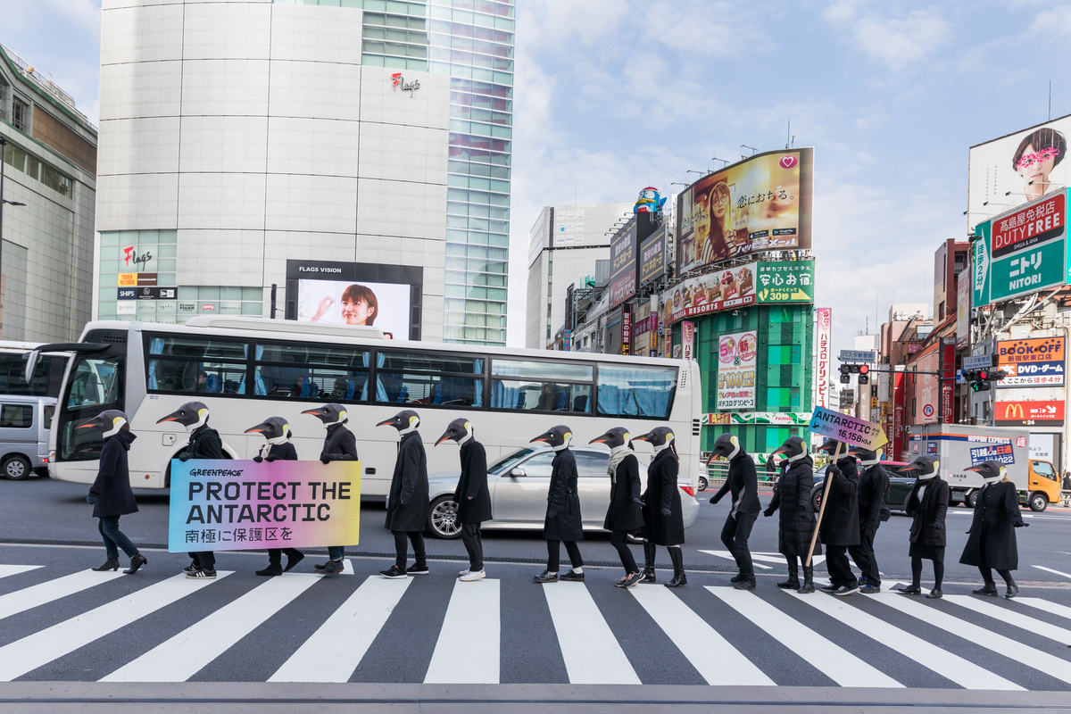 Rise of the Penguins in Tokyo © Jeremie Souteyrat / Greenpeace
