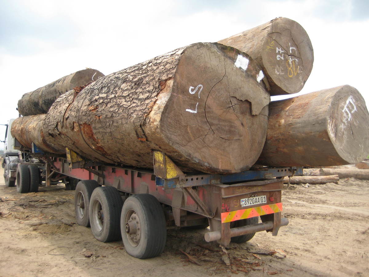 Unmarked timber on a truck in DRC © Greenpeace