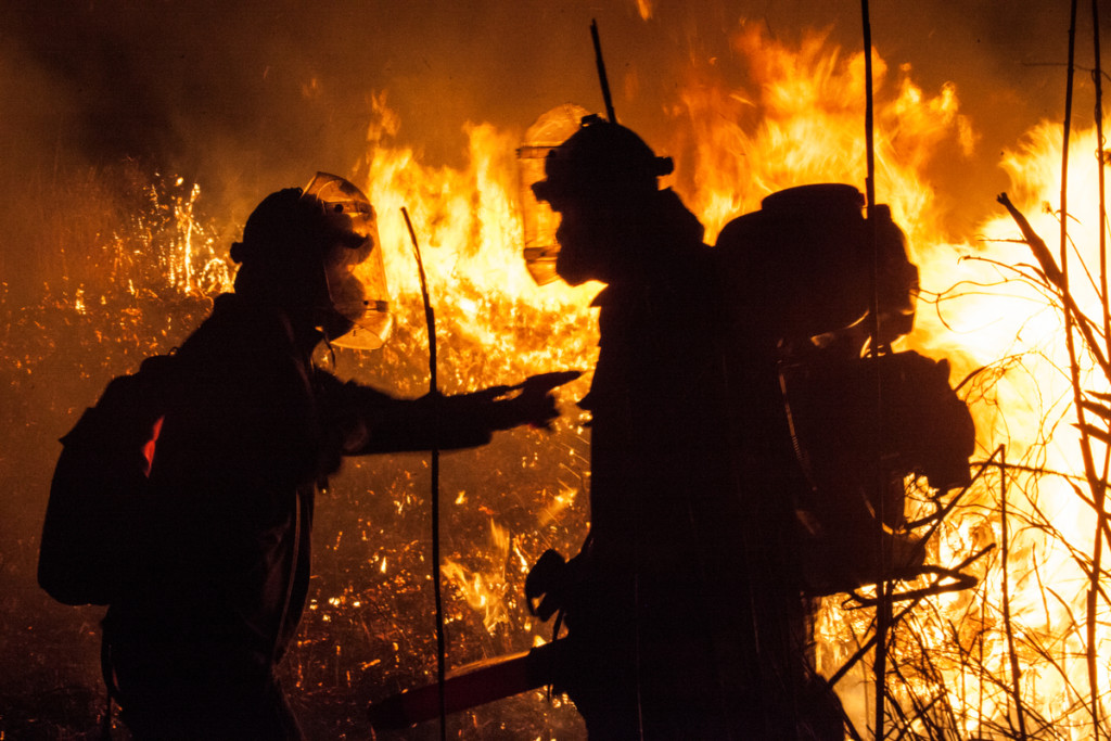 Fighting fires in Russia © Maria Vasilieva / Greenpeace