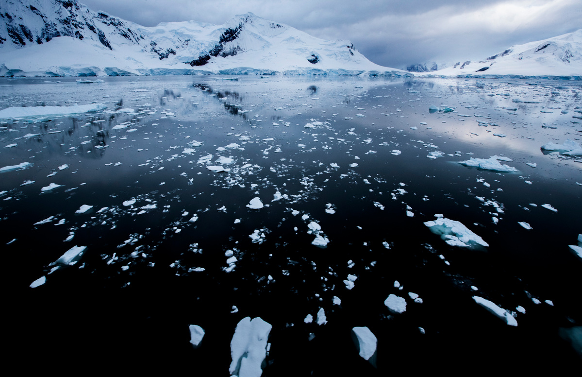  Paradise Bay in the Antarctic © Paul Hilton / Greenpeace