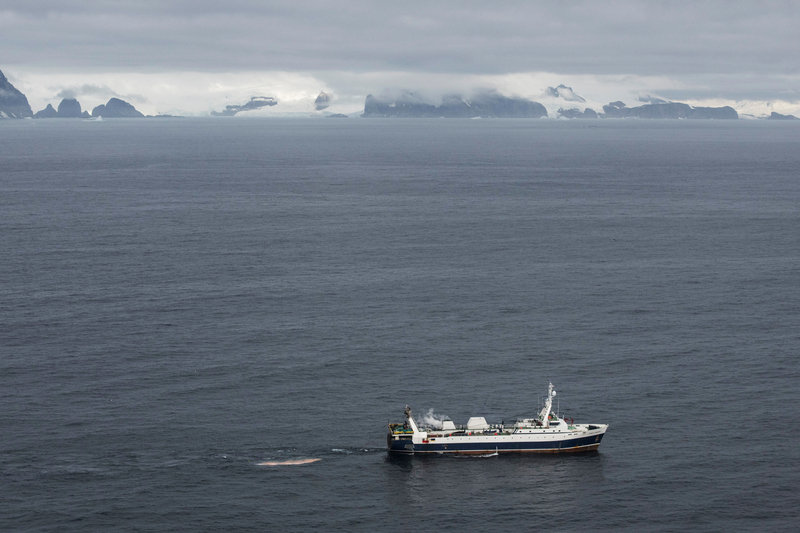Krill Fishing Vessels in the Antarctic © Daniel Beltrá / Greenpeace