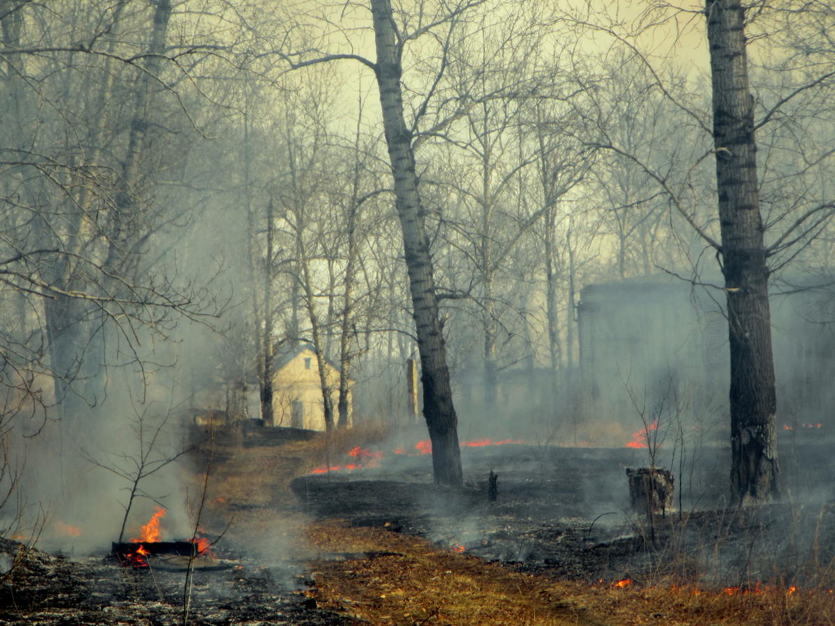Fires in Amur region, Russia © Maria Vasilieva / Greenpeace