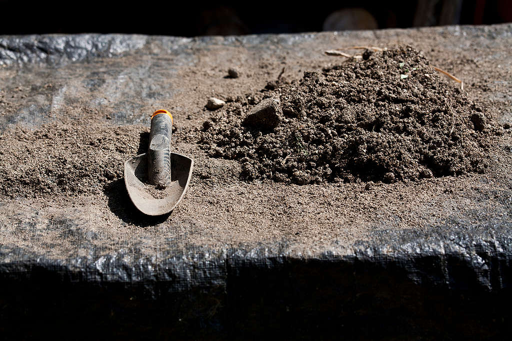  Soil and a trowel at a polyculture farm in Bulgaria © Ivan Donchev / Greenpeace