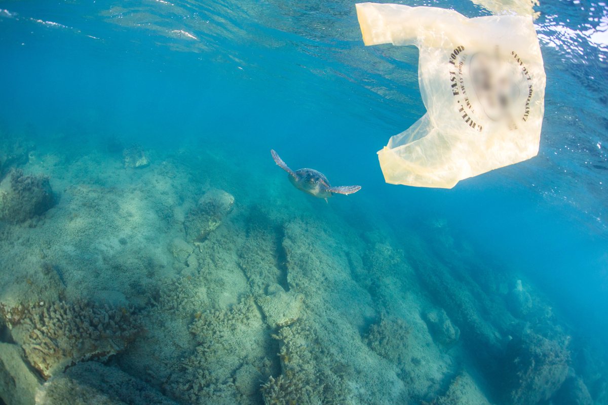 ​Plastic Bag in the Waters of Laganas Bay in Greece © Kostas Papafitsoros / Archelon / Greenpeace