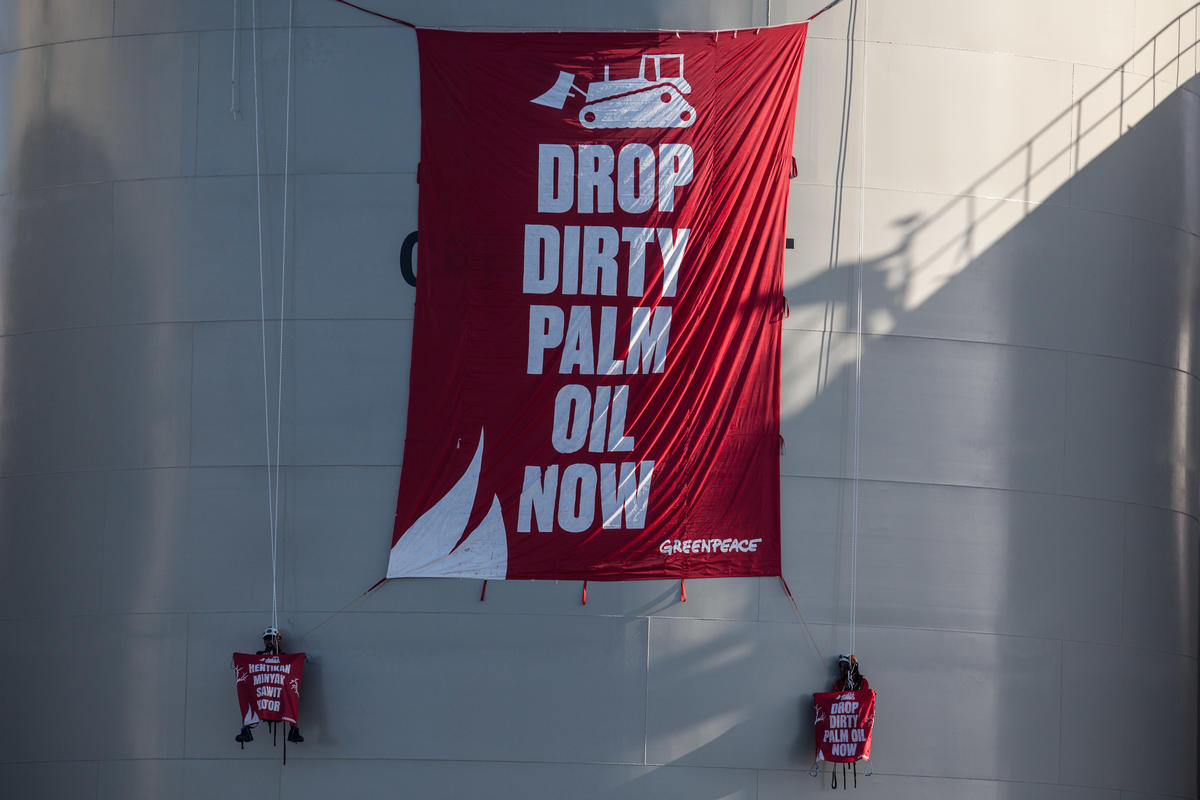 Greenpeace activists unfurl a banner reading "Drop Dirty Palm Oil Now" at the Wilmar International refinery in Bitung, North Sulawesi © Jurnasyanto Sukarno / Greenpeace
