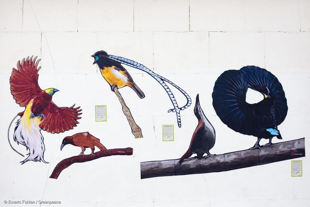 Street artist Urbanimal Jean pastes up images of Birds of Paradise in Bondy, France, to highlight deforestation in the Indonesian province of West Papua. © Emeric Fohlen/ Greenpeace