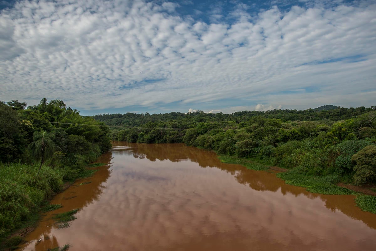 The Paraopeba River, affected by the mining waste dam the collapse in the city of Brumadinho, Brazil. © Christian Braga