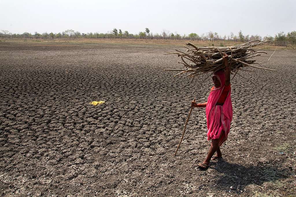 Drought in Maharashtra, India  © Subrata Biswas / Greenpeace © Subrata Biswas / Greenpeace