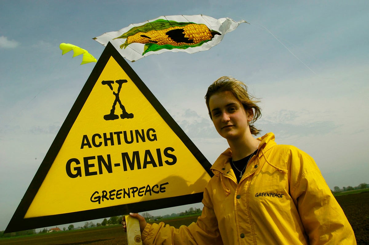 Monsanto Busted Greenpeace International