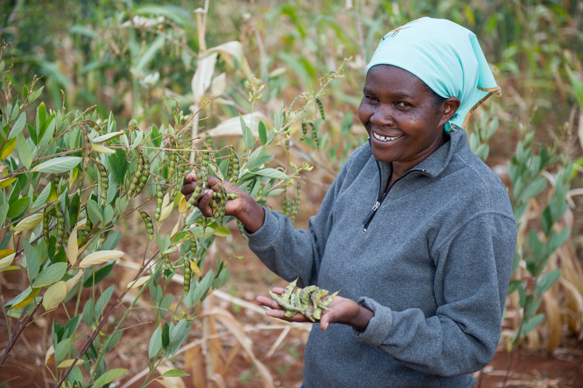 Ecological Farmer in Kenya © Cheryl-Samantha Owen / Greenpeace
