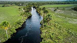 Cerrado Biome in Brazil. © Fernanda Ligabue / Greenpeace