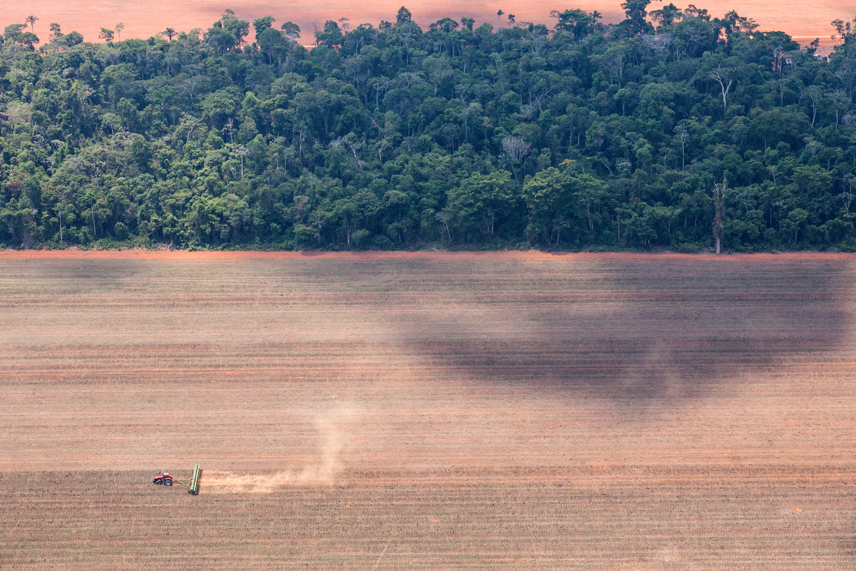 Deforestation in Mato Grosso. © Paulo Pereira / Greenpeace