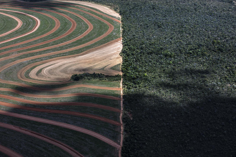 Agribusiness Rush in the MATOPIBA Region, in BrazilAvanço do agronegócio na região da MATOPIBA, Brasil.