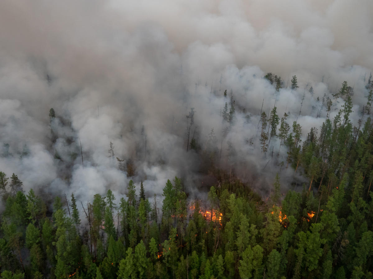 Forest Fires near Irkutsk, Siberia, in Russia