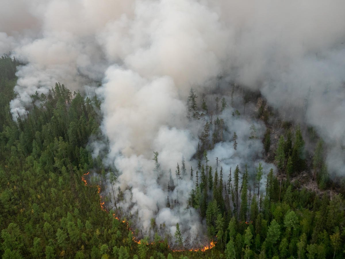 Forest Fires near Irkutsk Region in Russia