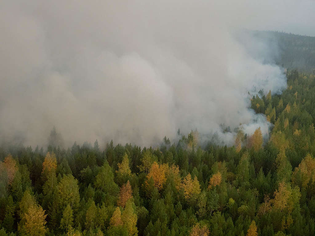 Forest Fires near Irkutsk Region in Russia © Igor Podgorny / Greenpeace