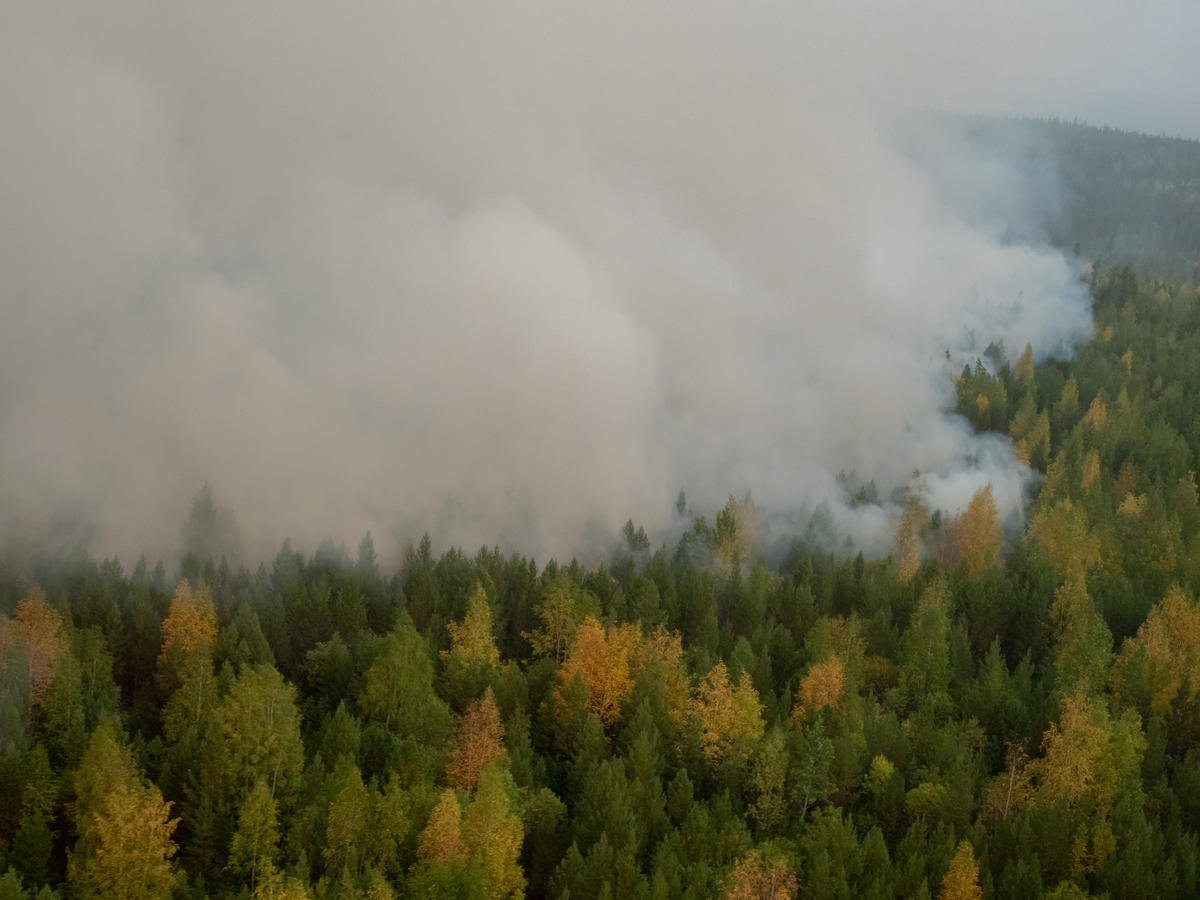 Forest Fires near Irkutsk Region in Russia