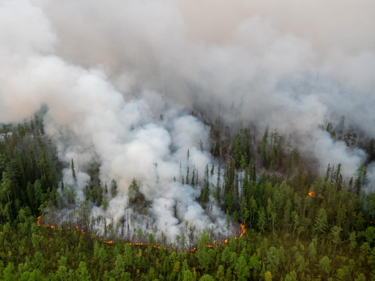 Forest Fires near Irkutsk Region in Russia © Greenpeace. © Igor Podgorny / Greenpeace