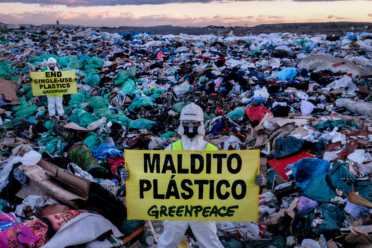 Everything you should know about single-use plastic - Greenpeace Africa