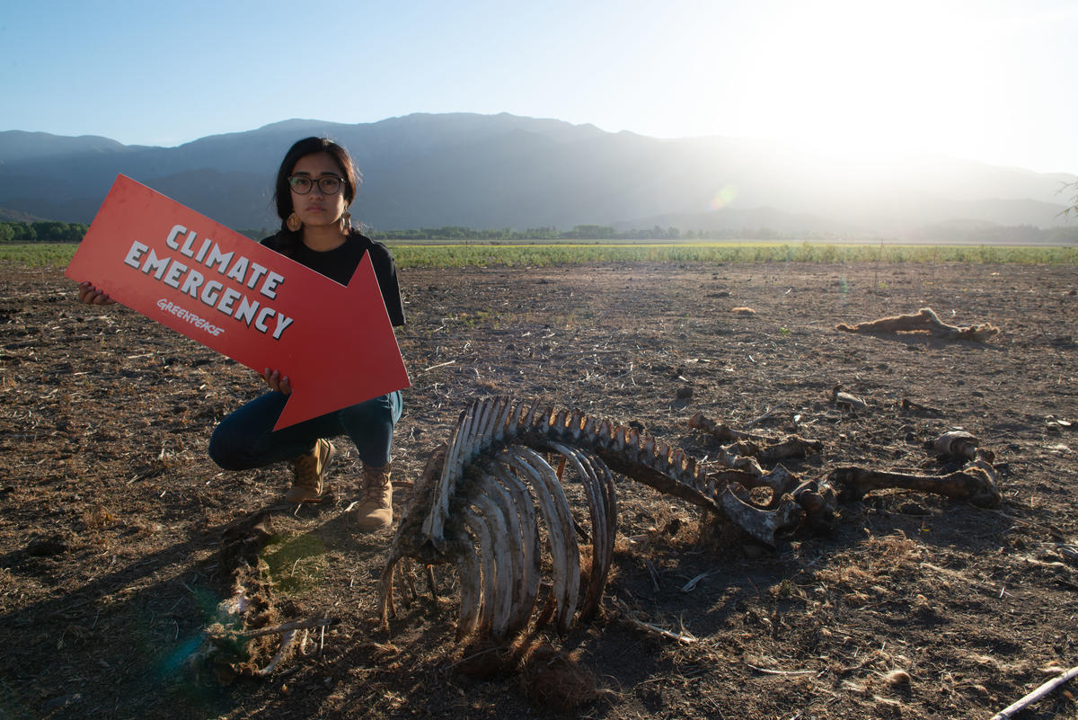 Climate Emergency Action at Laguna de Aculeo in Chile © Martin Katz / Greenpeace