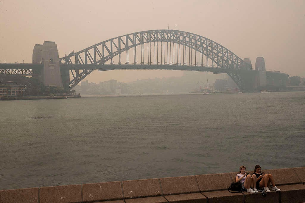 Smoke Haze in Sydney, NSW. © Cole Bennetts / Greenpeace © Cole Bennetts / Greenpeace