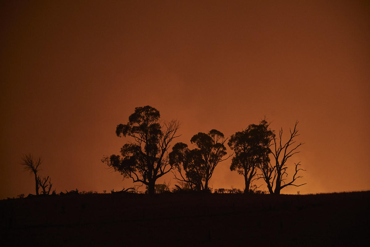 Bushfire in Snowy Mountains, Australia. © Kiran Ridley / Greenpeace